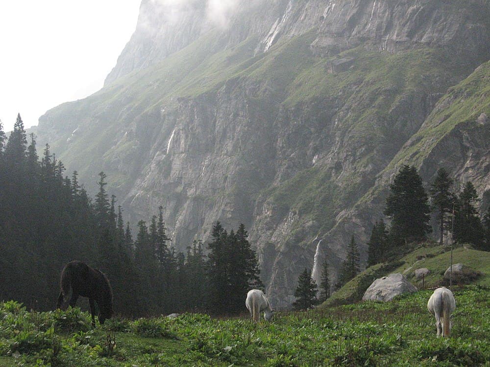 Kheerganga Trek travel image
