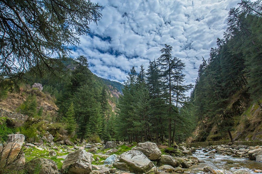 Kheerganga Trek travel image