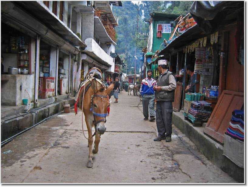 Gaurikund travel image
