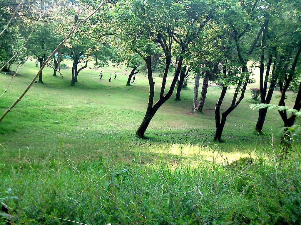 Coakers Walk travel image