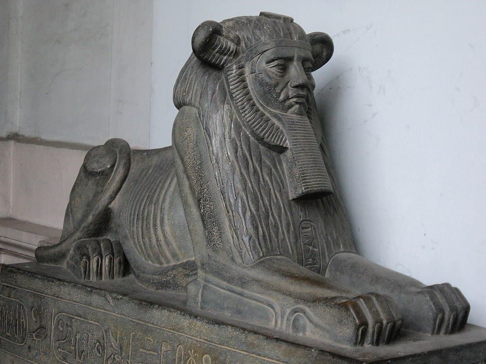 Indian Museum travel image