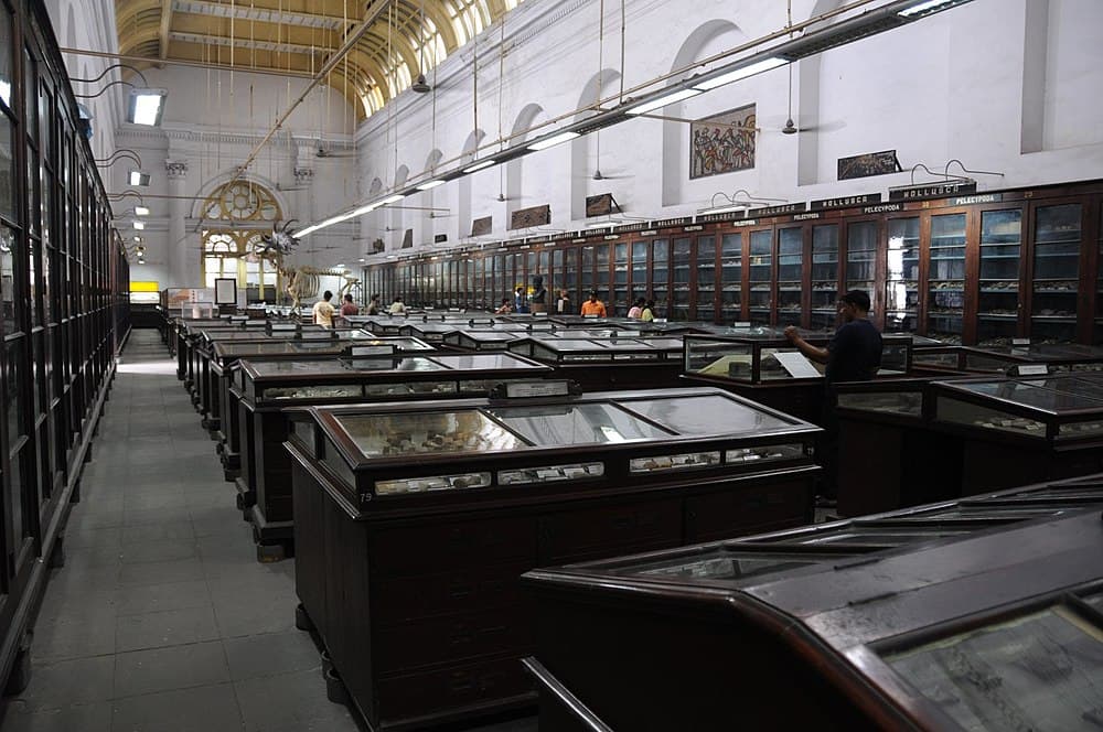 Indian Museum travel image