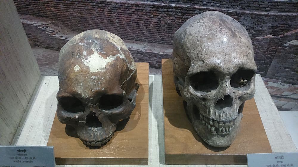 Indian Museum travel image