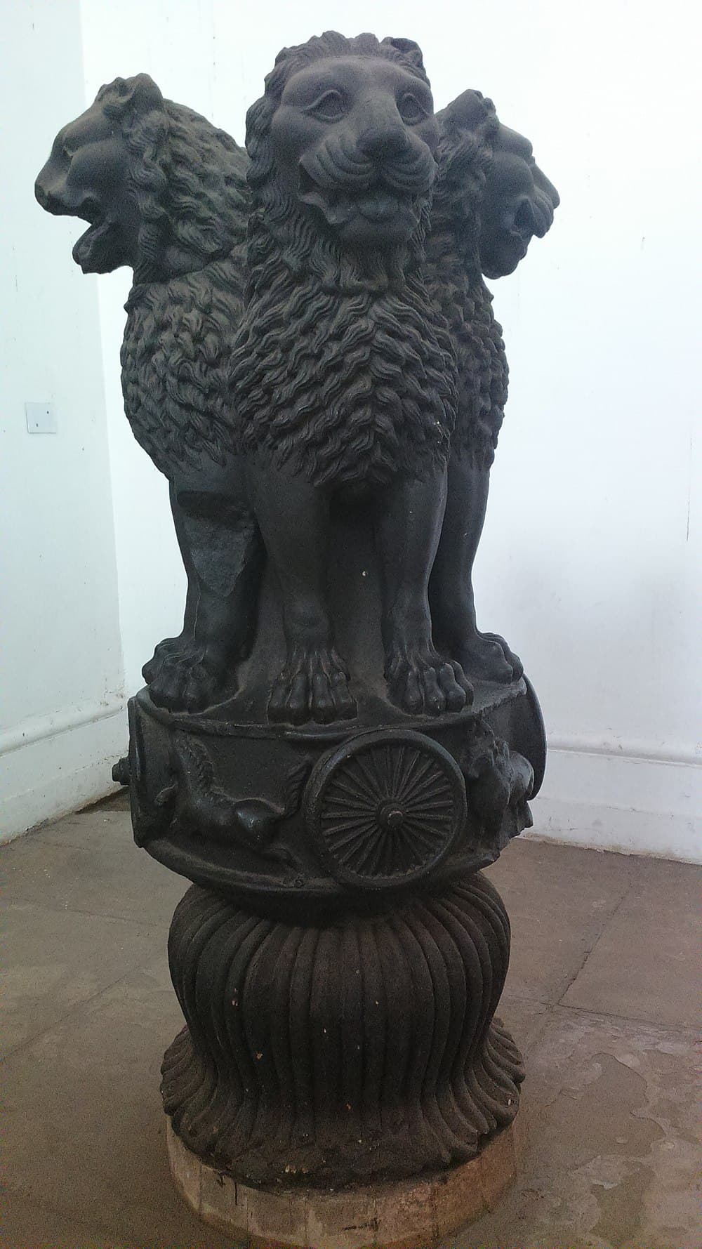 Indian Museum travel image