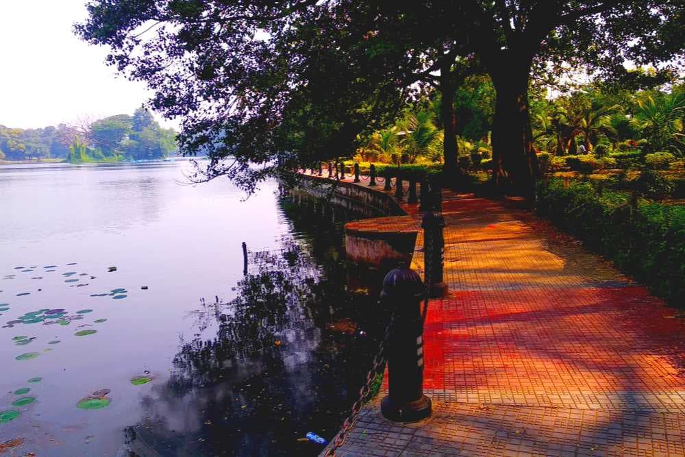 Rabindra Sarovar - Artificial Lake Located in South Kolkata
