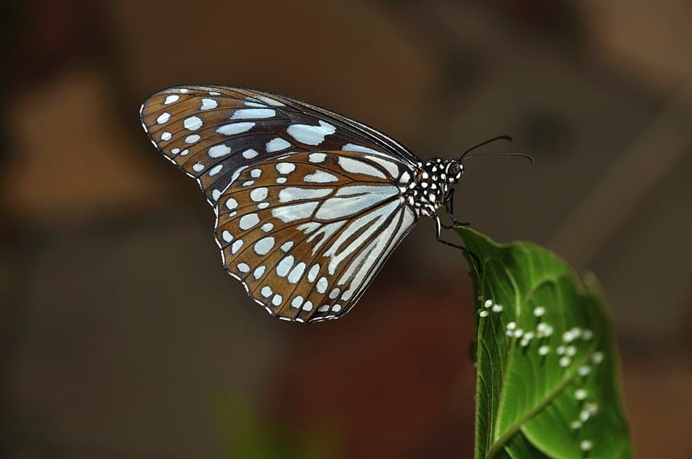 Science City Kolkata travel image