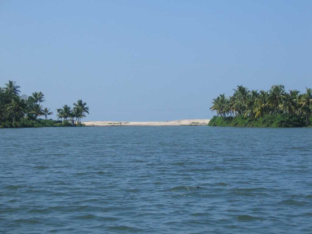 Ashtamudi Lake travel image