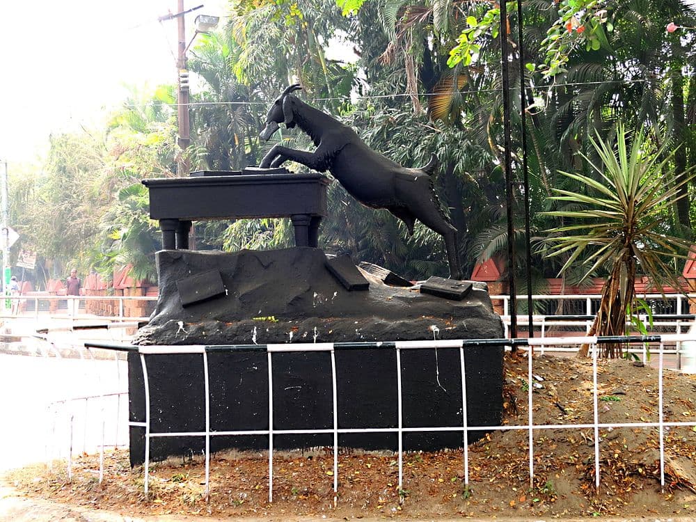 Mananchira Square travel image