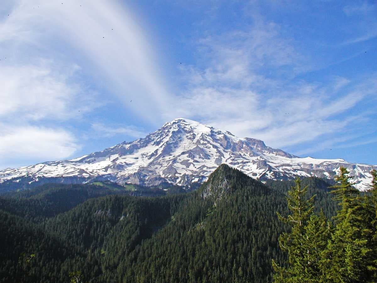 Inderkilla National Park - Occupies an Area of 104 sq kms