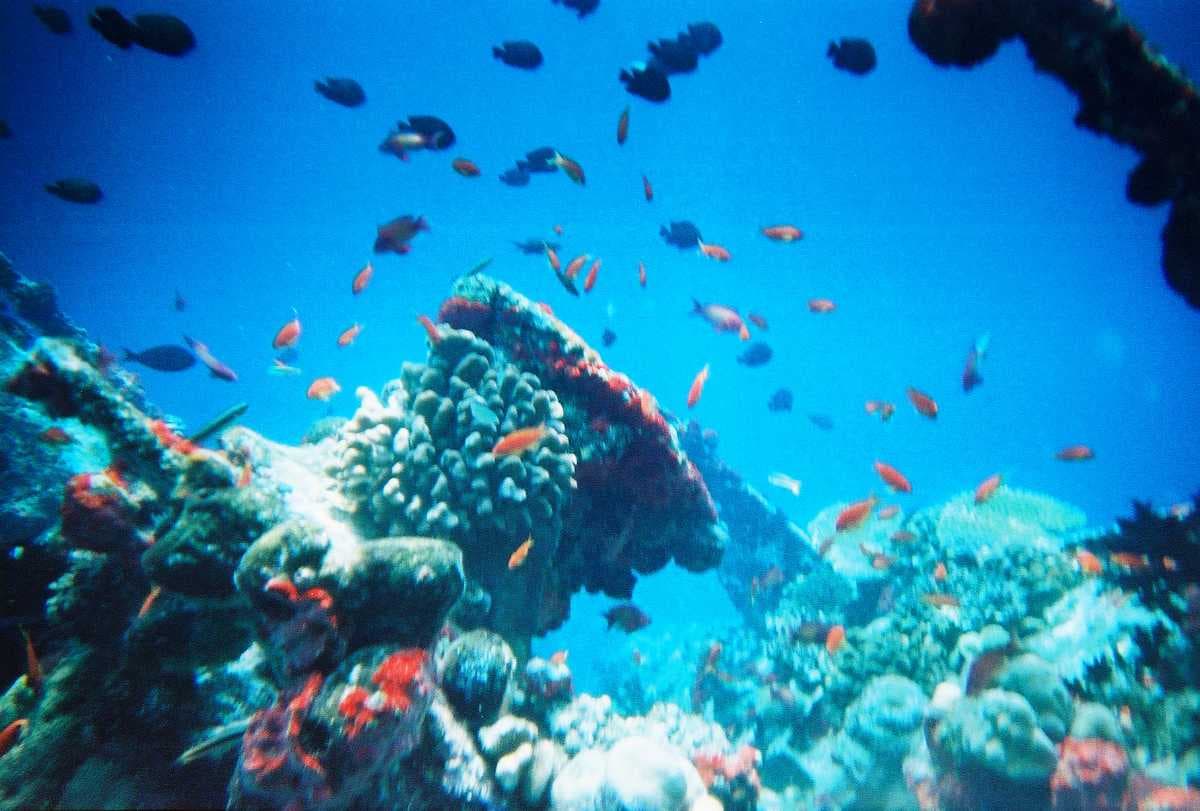 Bangaram Island travel image