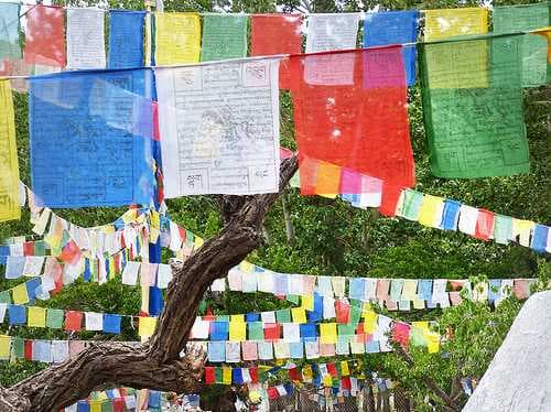 Alchi Monastery travel image