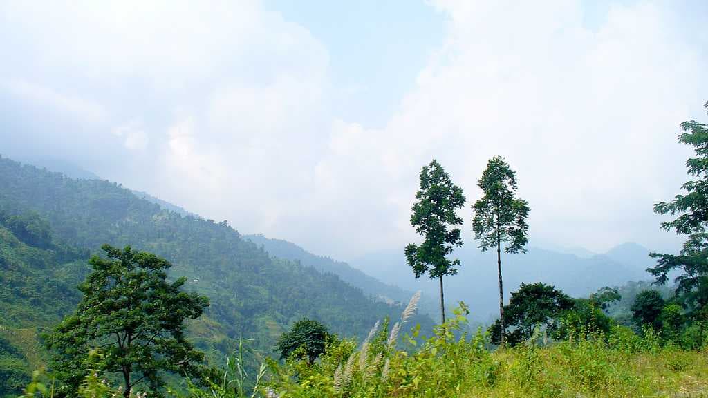 Rishyap