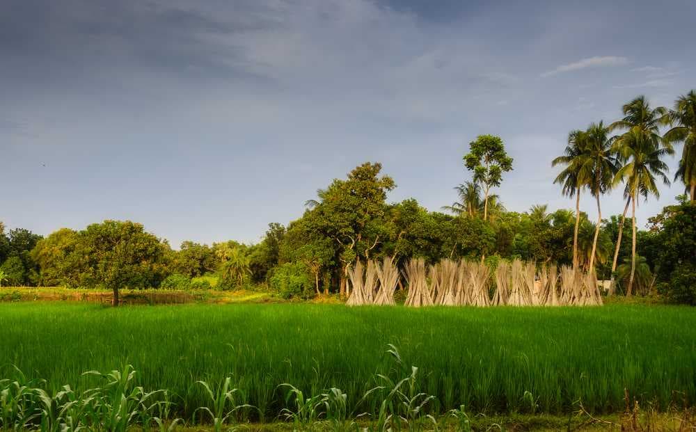 Splendid Scenery View - Rishyap, Lolegaon