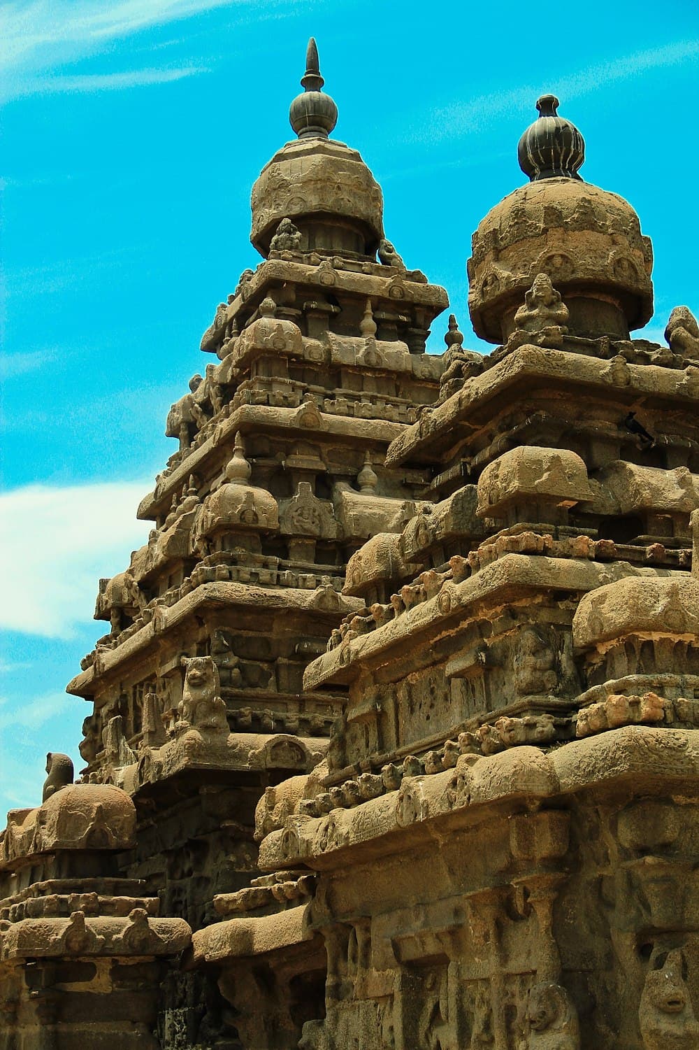 Shore Temple travel image