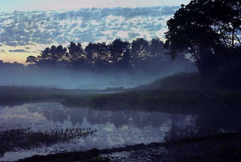Dawn