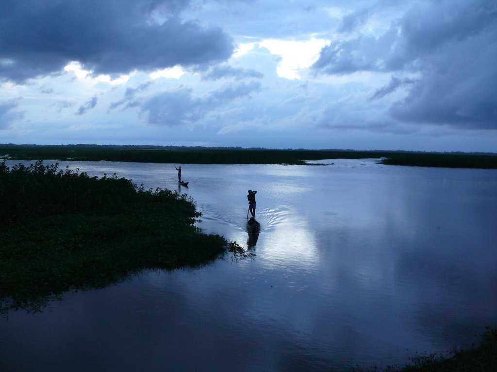 Pani Dehing