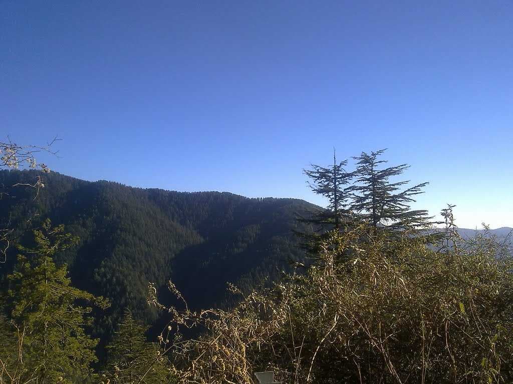 Reserve Forest Sanctuary