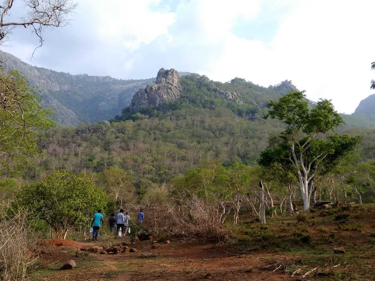 Masinagudi Route Trekking Route