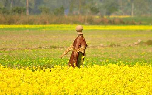Pobitora Wildlife Sanctuary travel image