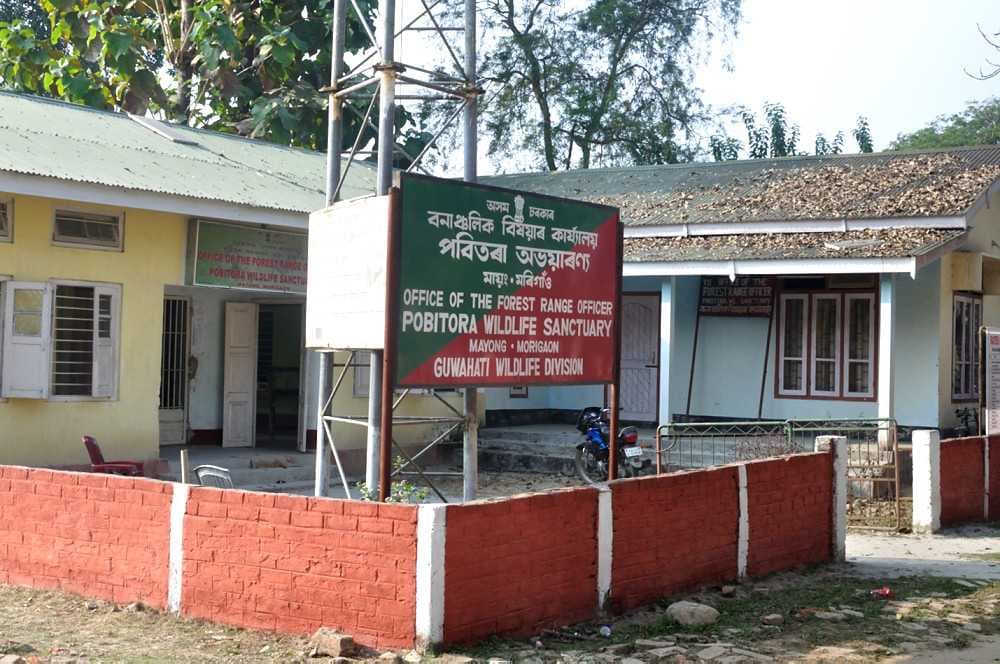 Pobitora Wildlife Sanctuary travel image