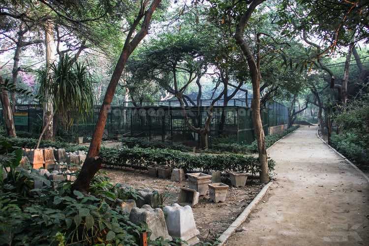 Picturesque View From Kamla Nehru Park
