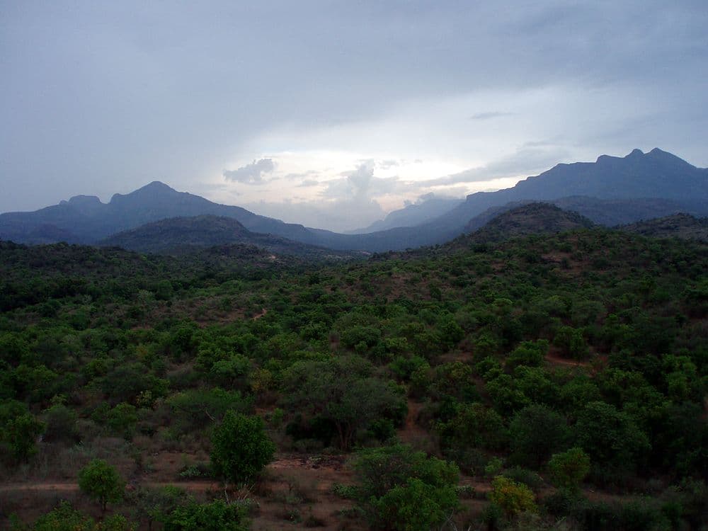 Chinnar Wildlife Sanctuary travel image
