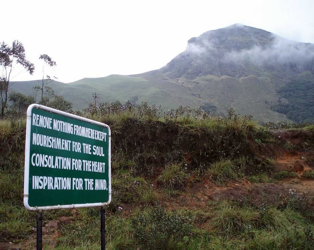 Eravikulam National Park travel image