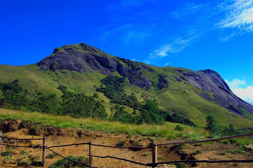 Eravikulam National Park travel image