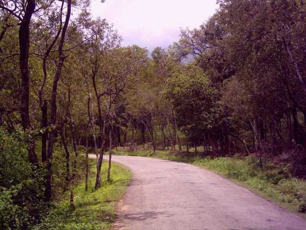 Marayoor travel image