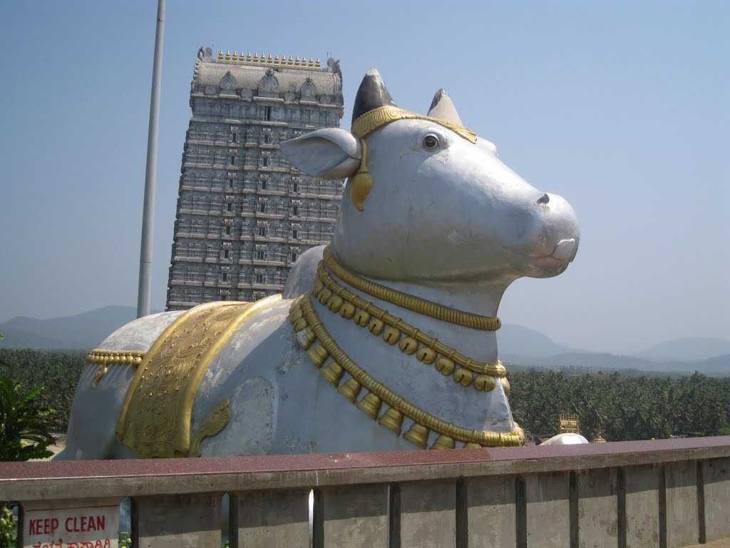 Nandi Iol at Murudeshwar Temple