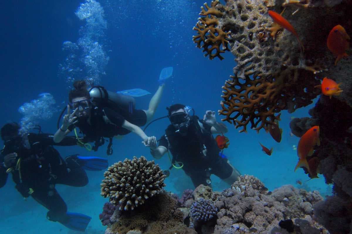 Coral reef exploration at Netrani Island, Murudeshwar