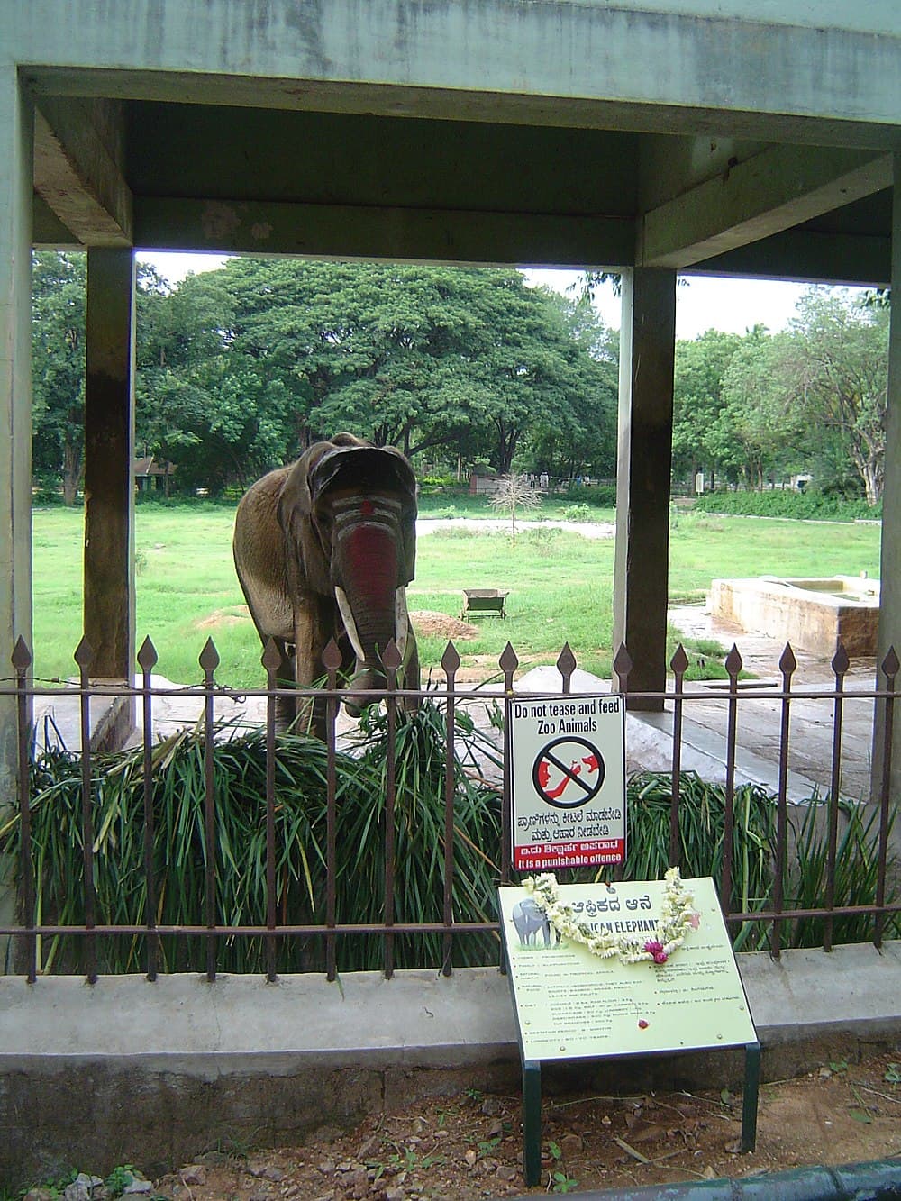 Mysore Zoo travel image