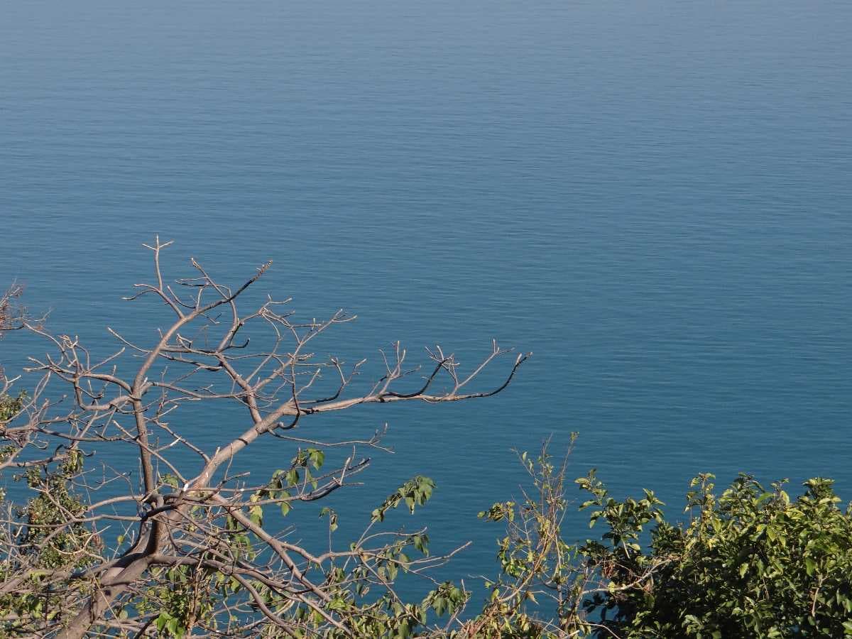Gobind Sagar Lake travel image