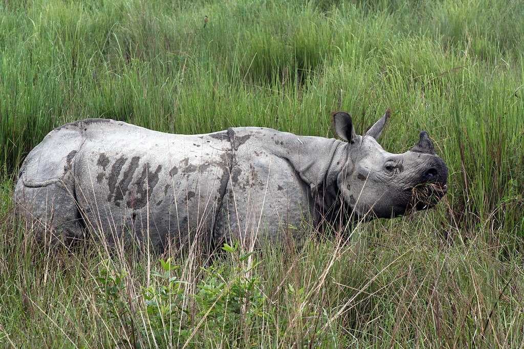 Nameri National Park travel image