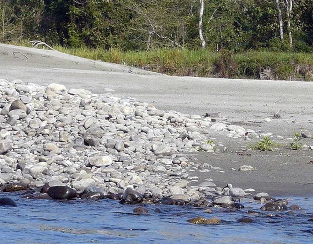 Nameri National Park travel image
