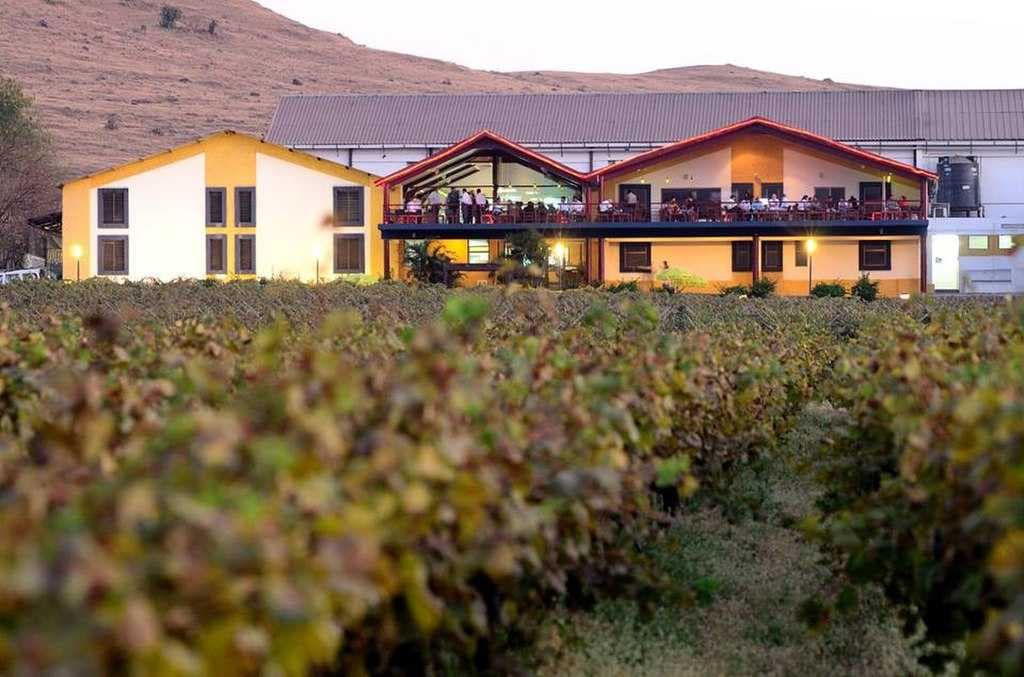 View of Sula Vineyards, Nashik