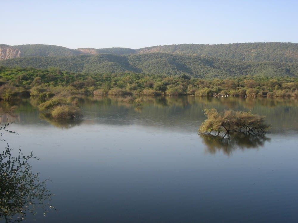 Water Reserve Within Sariska National Park