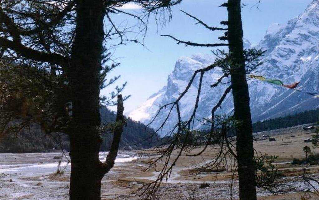 Yumthang Valley travel image