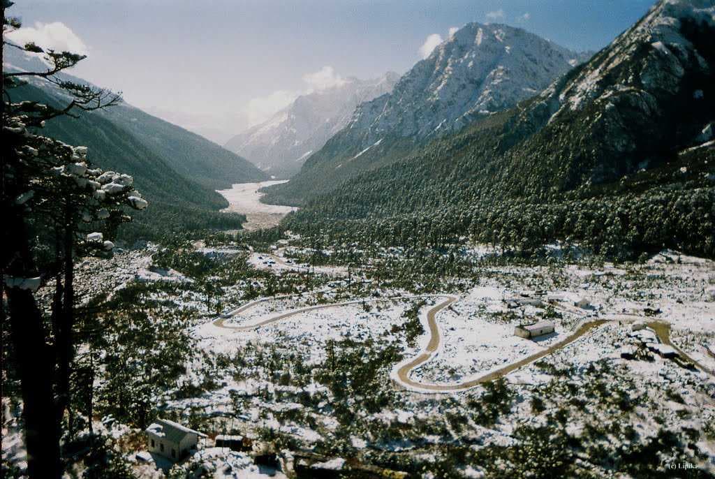 Yumthang Valley travel image