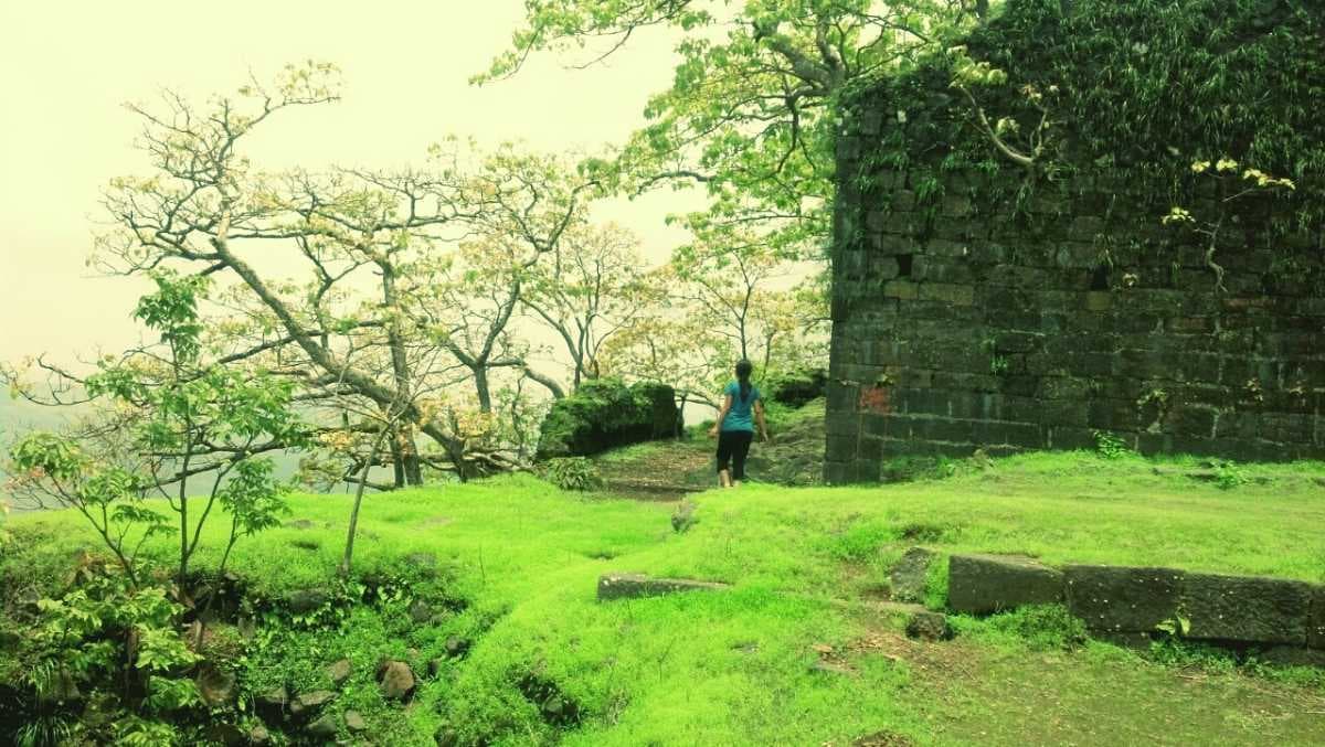 Karnala Bird Sanctuary travel image