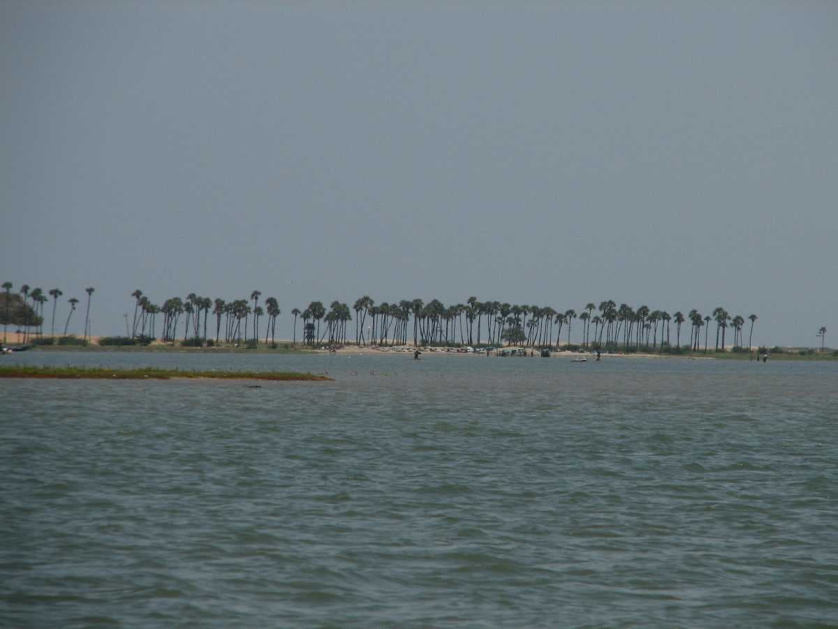 Pulicat Lake travel image