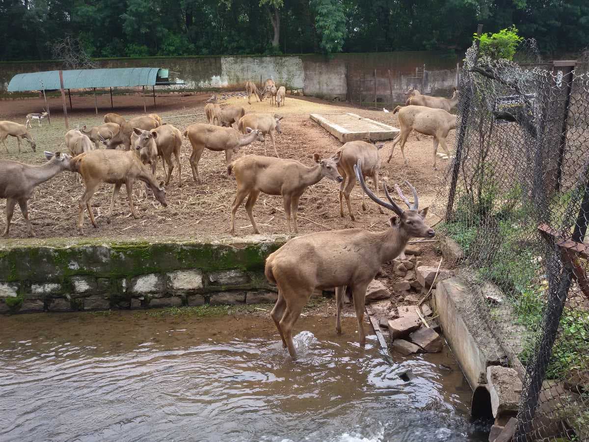 Raipur