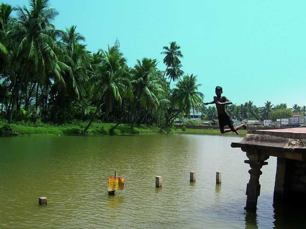 Draksharamam travel image