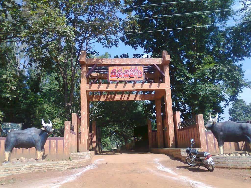 Maredumilli travel image