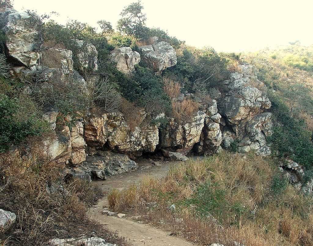 Saptaparni Caves travel image