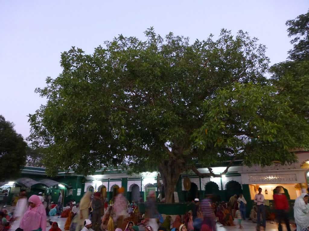 Piran Kaliyar Sharif travel image