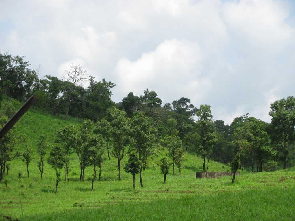 Serchhip