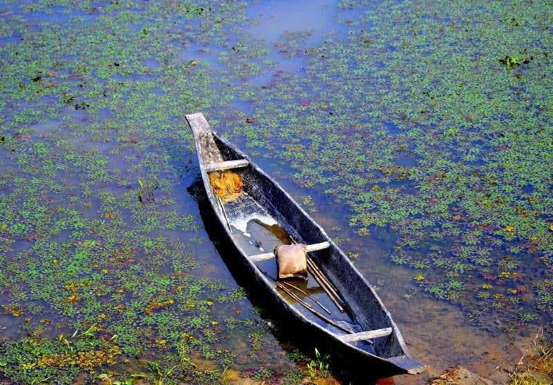 Solitary Travel