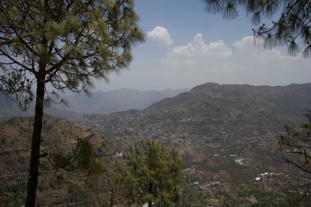 Barog Hills, Solan
