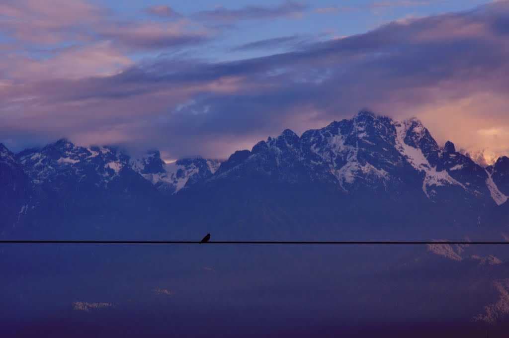 Ravangla travel image